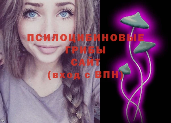 прущие грибы Алексин