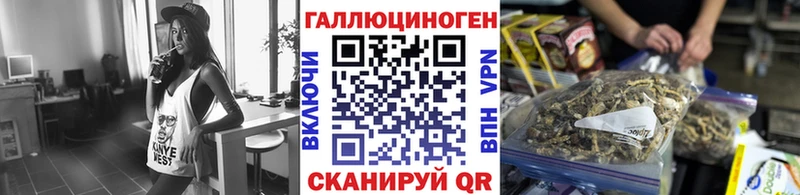 блэк спрут рабочий сайт как найти закладки Юрьевец Псилоцибиновые грибы Psilocybe