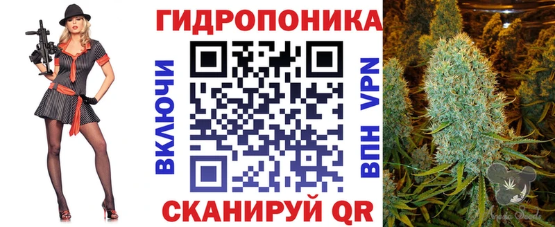 Марихуана гибрид  Юрьевец 